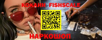 молекула духа Камышлов