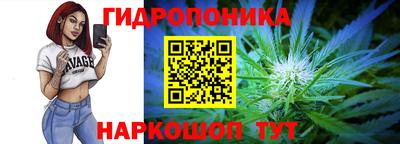 молекула духа Камышлов