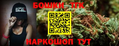 молекула духа Камышлов