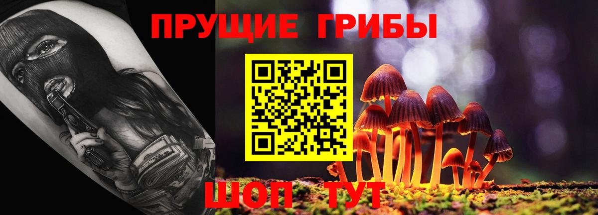 Галлюциногенные грибы мухоморы  Псилоцибиновые грибы Cubensis  Менделеевск  Вход с VPN 